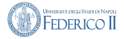 Università Federico II