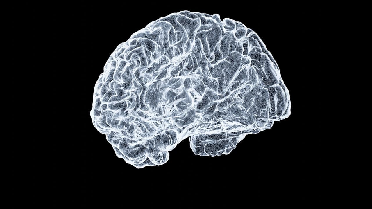 New Challenges and Advancements in AI: From Spatial Perception to Memory Security New Challenges and Advancements in AI: From Spatial Perception to Memory Security